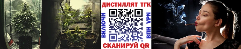 Дистиллят ТГК Wax  сайты даркнета какой сайт  Новая Ладога  магазин продажи  