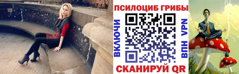 продажа наркотиков  mega ссылка  Псилоцибиновые грибы прущие грибы  Новая Ладога 